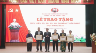 85 đảng viên xã Đông Anh nhận Huy hiệu Đảng đợt 7/11